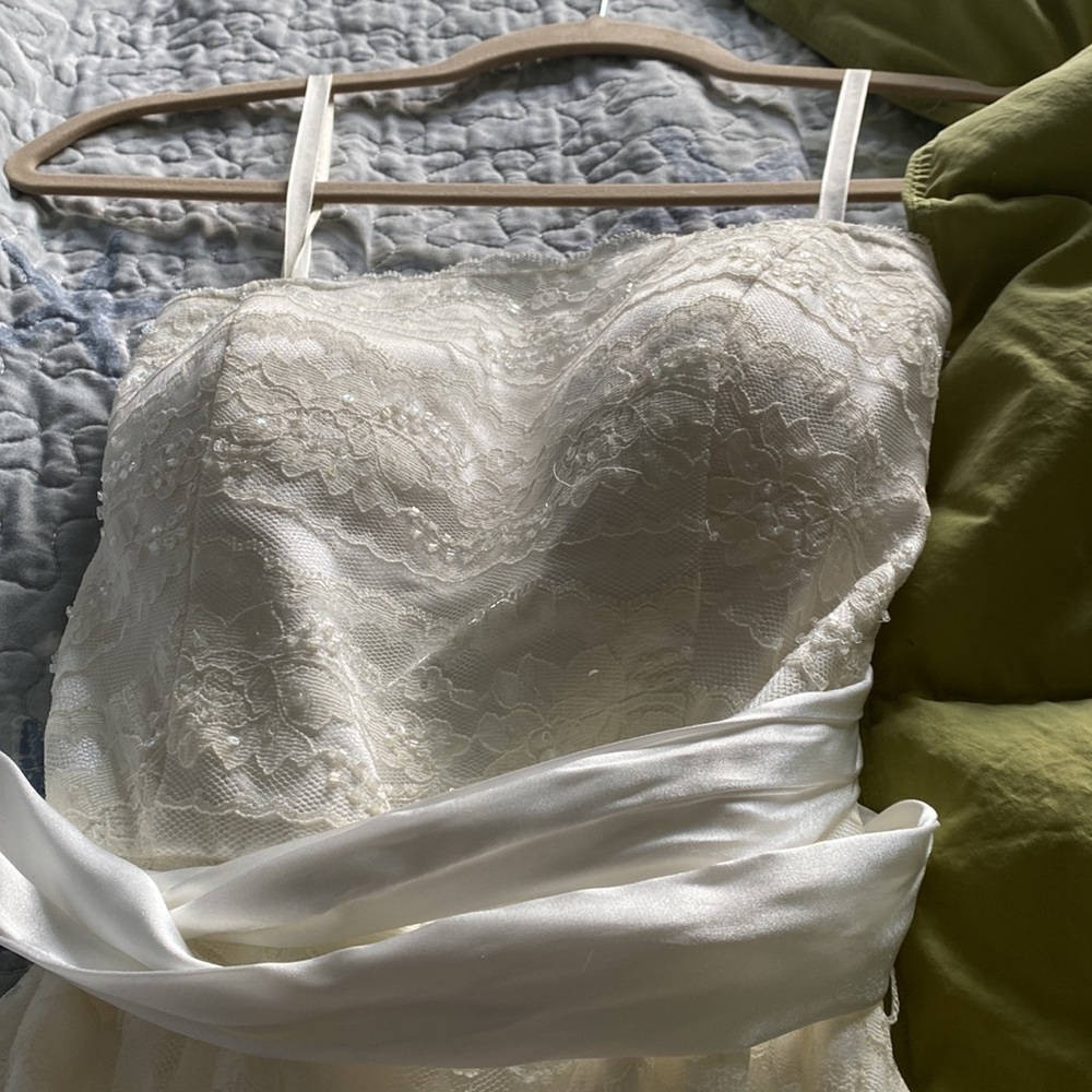 Lovely Davids Bridal lace gown with sequins [Ivory] - Picture 11 of 12